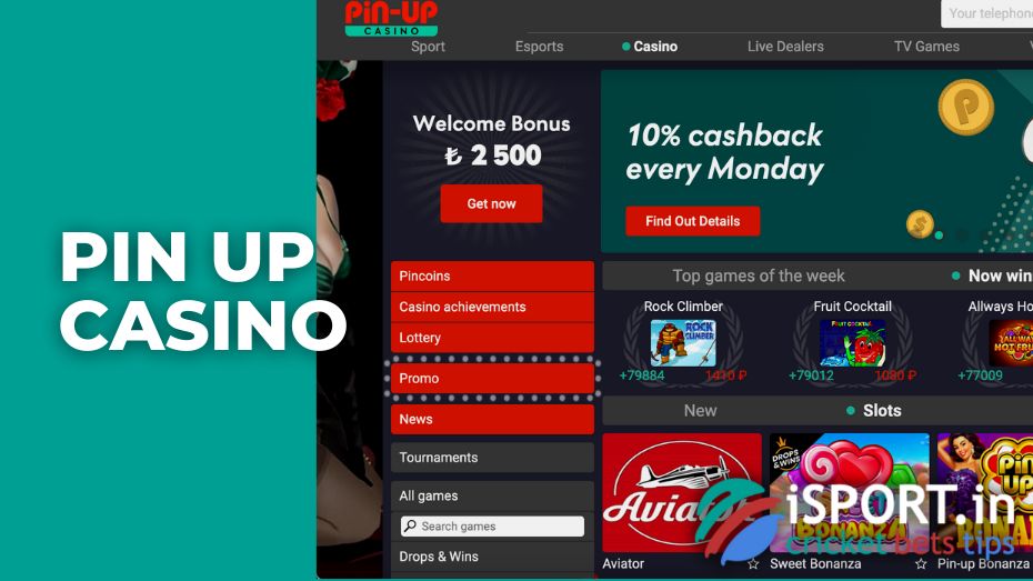 casino pin up bet online